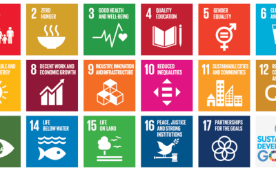 Navigating The Currents Of Global Change Requires Strategic “Partner-Ships”